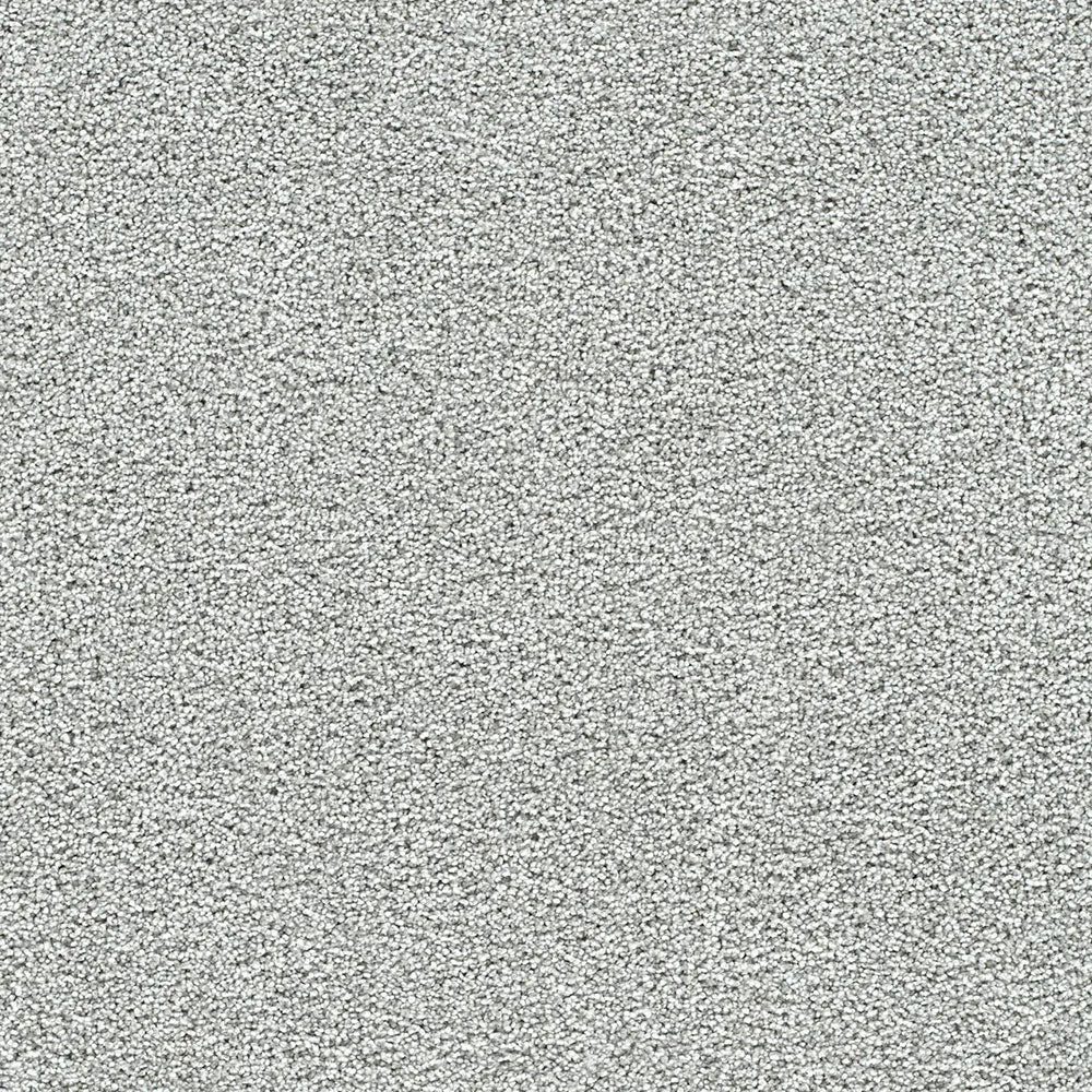 Blizzard